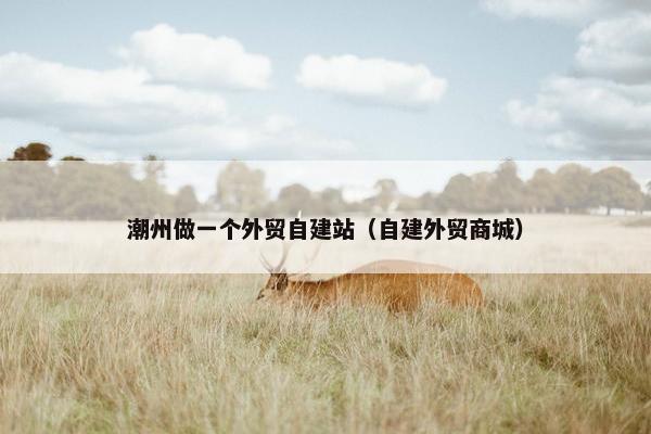 潮州做一个外贸自建站（自建外贸商城）