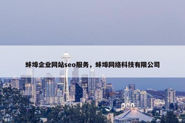 蚌埠企业网站seo服务，蚌埠网络科技有限公司