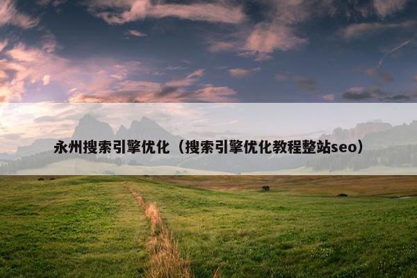 永州搜索引擎优化（搜索引擎优化教程整站seo）