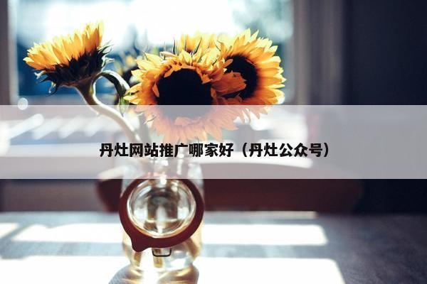 丹灶网站推广哪家好（丹灶公众号）