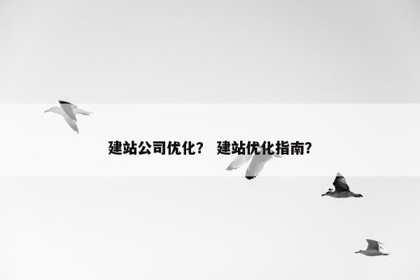 建站公司优化？ 建站优化指南？