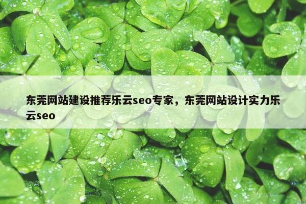 东莞网站建设推荐乐云seo专家，东莞网站设计实力乐云seo