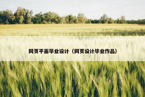 网页平面毕业设计（网页设计毕业作品）