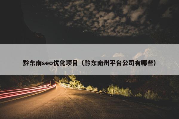 黔东南seo优化项目（黔东南州平台公司有哪些）
