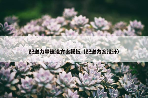 配送力量建设方案模板（配送方案设计）