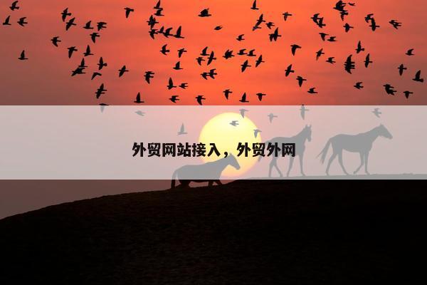 外贸网站接入，外贸外网