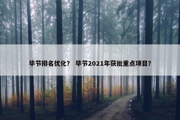 毕节排名优化？ 毕节2021年获批重点项目？