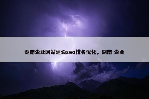 湖南企业网站建设seo排名优化，湖南 企业