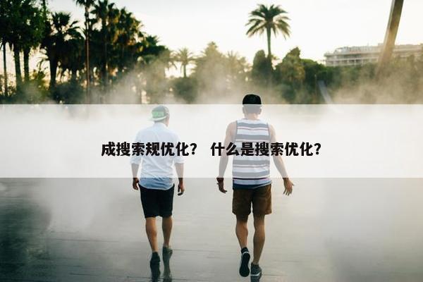 成搜索规优化？ 什么是搜索优化？