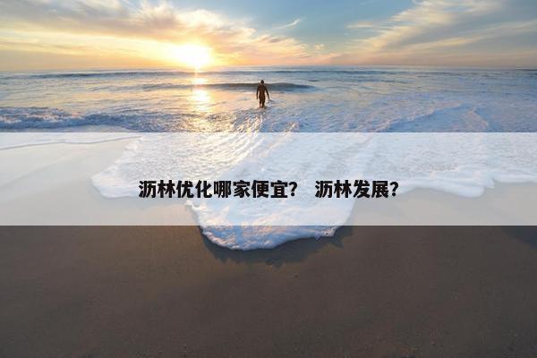 沥林优化哪家便宜？ 沥林发展？