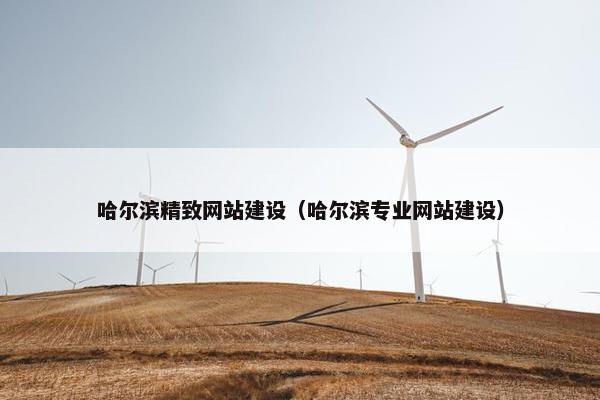 哈尔滨精致网站建设（哈尔滨专业网站建设）