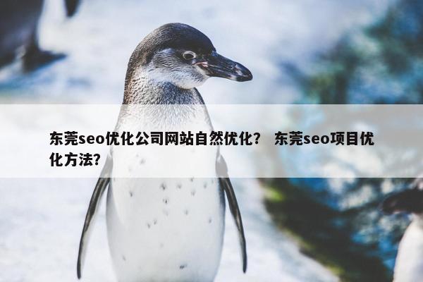 东莞seo优化公司网站自然优化？ 东莞seo项目优化方法？