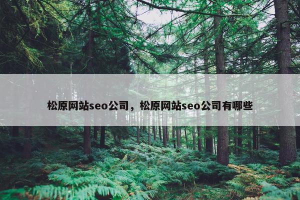 松原网站seo公司，松原网站seo公司有哪些