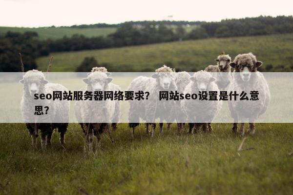 seo网站服务器网络要求？ 网站seo设置是什么意思？