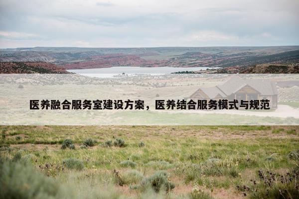 医养融合服务室建设方案，医养结合服务模式与规范