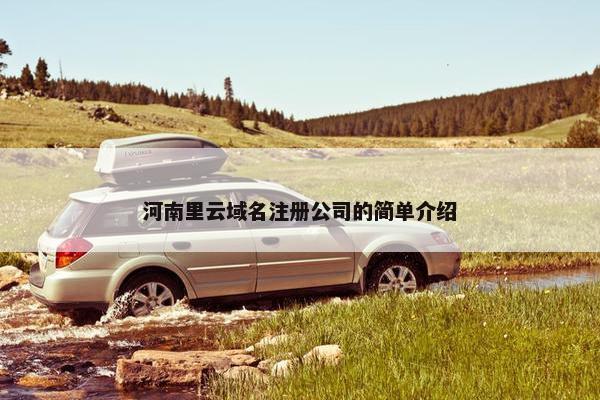 河南里云域名注册公司的简单介绍