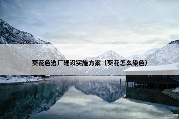 葵花色选厂建设实施方案（葵花怎么染色）