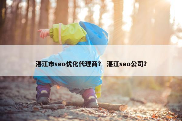 湛江市seo优化代理商？ 湛江seo公司？