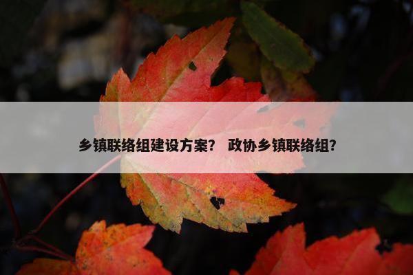 乡镇联络组建设方案？ 政协乡镇联络组？