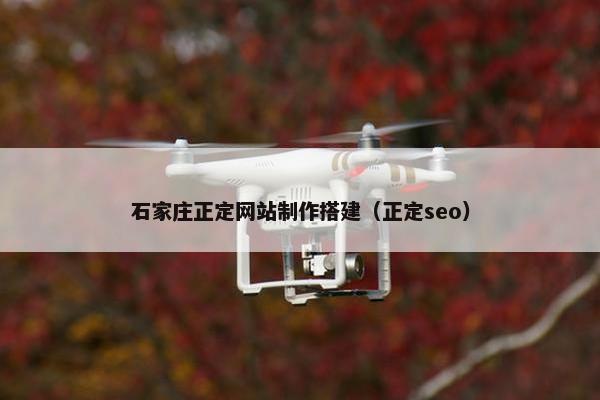 石家庄正定网站制作搭建（正定seo）