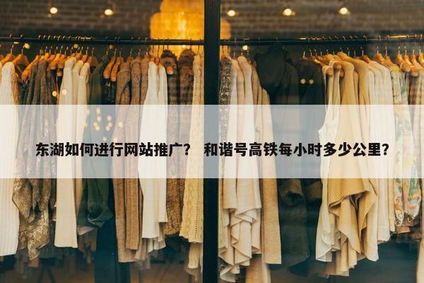 东湖如何进行网站推广？ 和谐号高铁每小时多少公里？