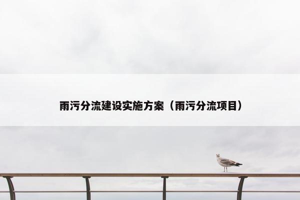 雨污分流建设实施方案（雨污分流项目）