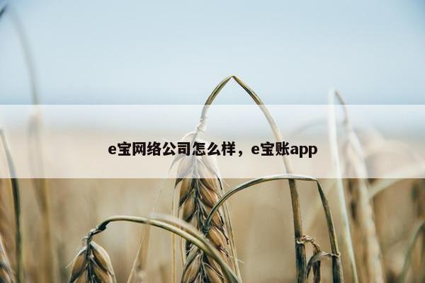 e宝网络公司怎么样，e宝账app