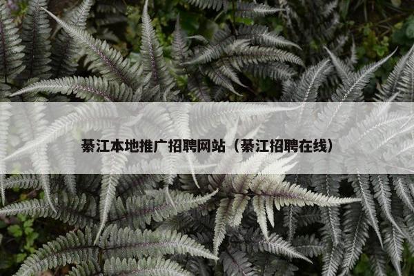 綦江本地推广招聘网站（綦江招聘在线）