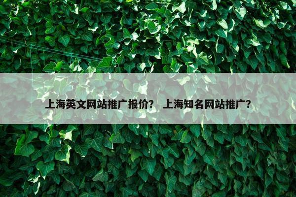 上海英文网站推广报价？ 上海知名网站推广？