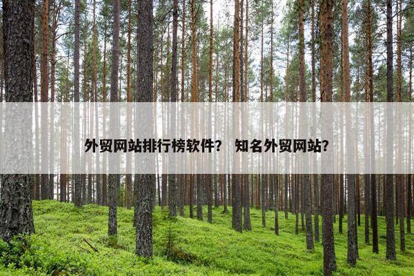 外贸网站排行榜软件？ 知名外贸网站？