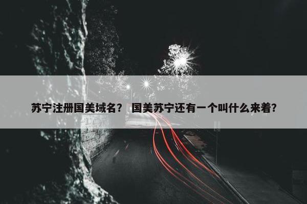 苏宁注册国美域名？ 国美苏宁还有一个叫什么来着？