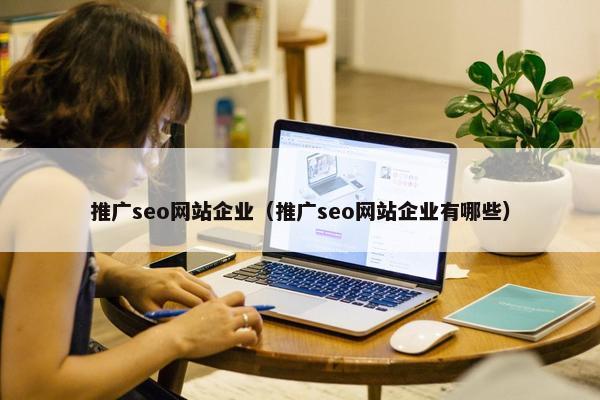推广seo网站企业（推广seo网站企业有哪些）