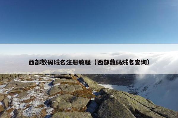 西部数码域名注册教程（西部数码域名查询）