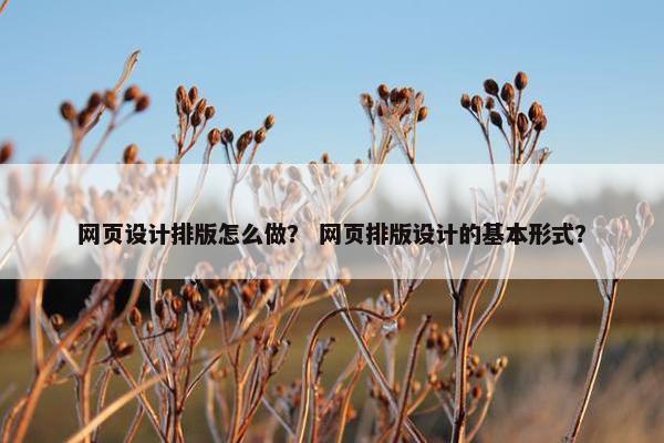 网页设计排版怎么做？ 网页排版设计的基本形式？