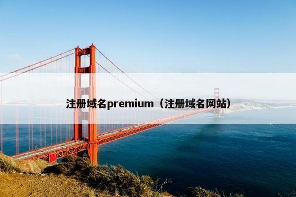 注册域名premium（注册域名网站）