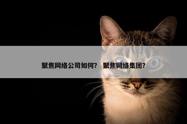 聚焦网络公司如何？ 聚焦网络集团？