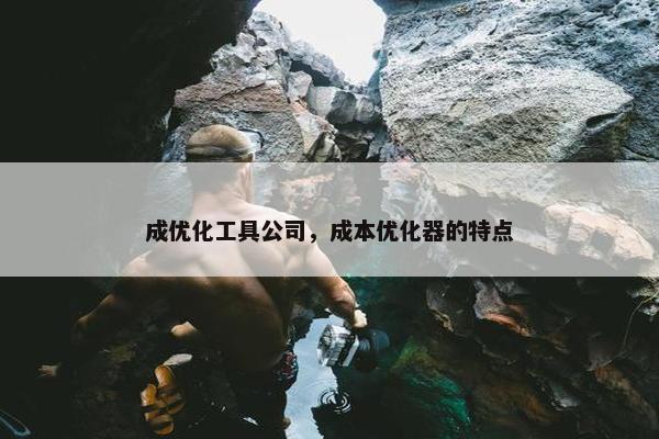 成优化工具公司，成本优化器的特点