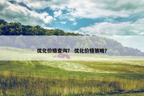 优化价格查询？ 优化价格策略？