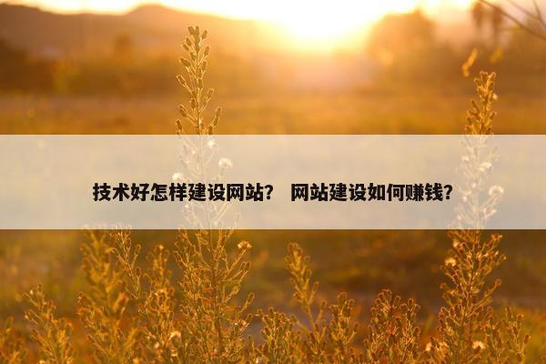 技术好怎样建设网站？ 网站建设如何赚钱？