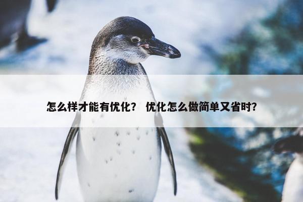 怎么样才能有优化？ 优化怎么做简单又省时？