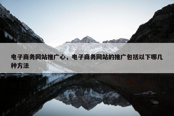 电子商务网站推广心，电子商务网站的推广包括以下哪几种方法