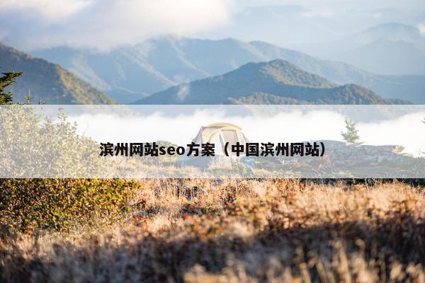 滨州网站seo方案（中国滨州网站）