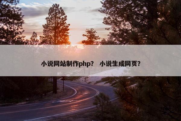 小说网站制作php？ 小说生成网页？