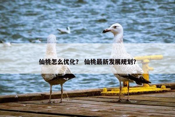 仙桃怎么优化？ 仙桃最新发展规划？