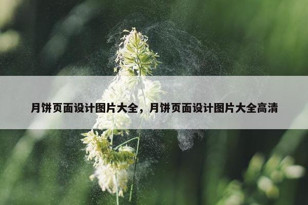 月饼页面设计图片大全，月饼页面设计图片大全高清