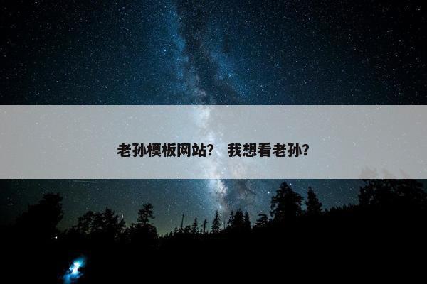 老孙模板网站？ 我想看老孙？
