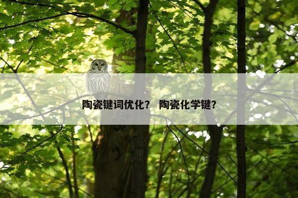 陶瓷键词优化？ 陶瓷化学键？