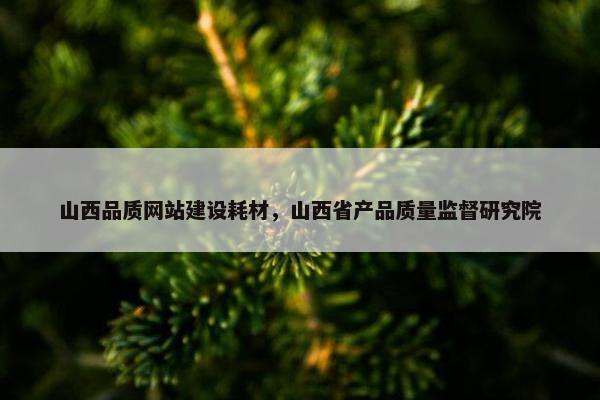 山西品质网站建设耗材，山西省产品质量监督研究院
