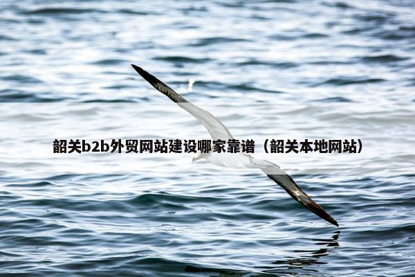 韶关b2b外贸网站建设哪家靠谱（韶关本地网站）