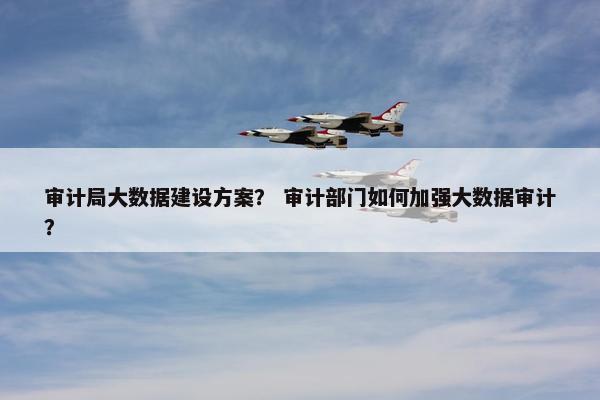 审计局大数据建设方案？ 审计部门如何加强大数据审计？